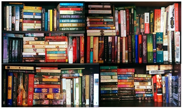 Tall bookshelf in my bedroom